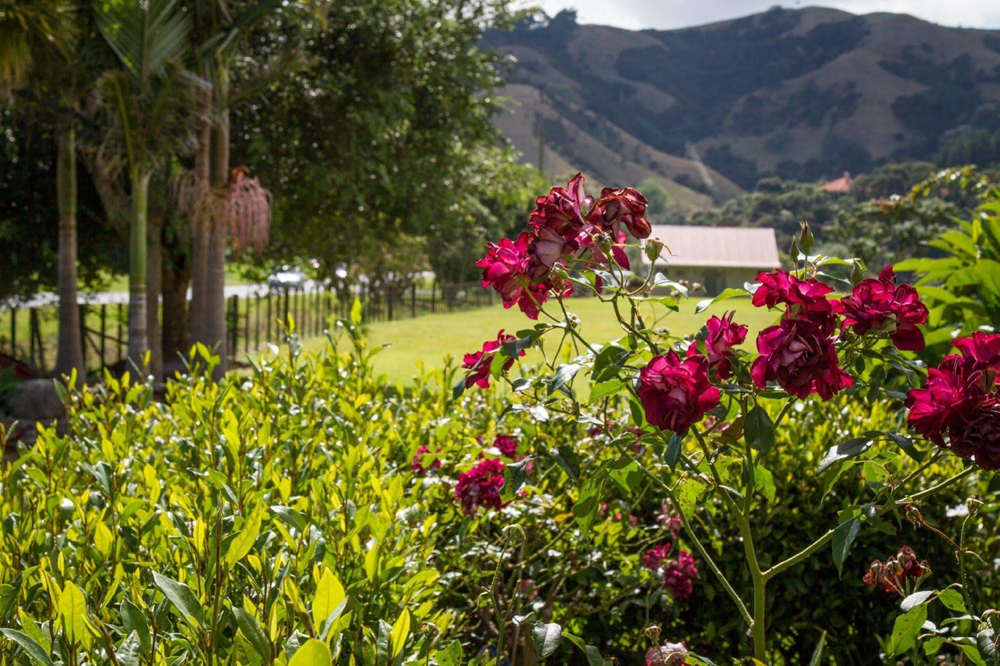 Taigh Na Mara Bed And Breakfast Whitianga Exterior photo